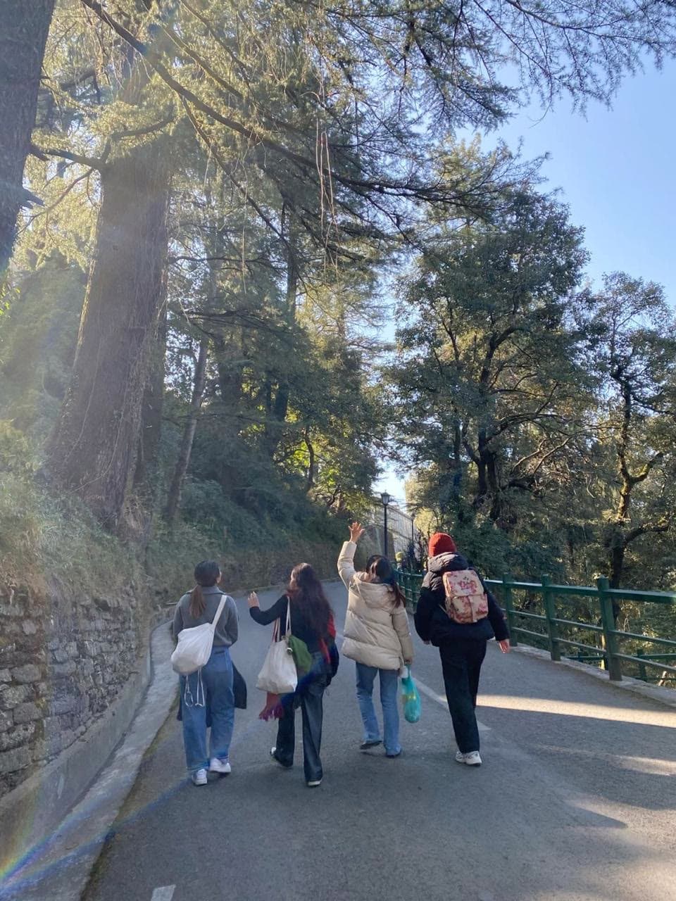 Four of them walking a sunlit hill road, one with an arm up